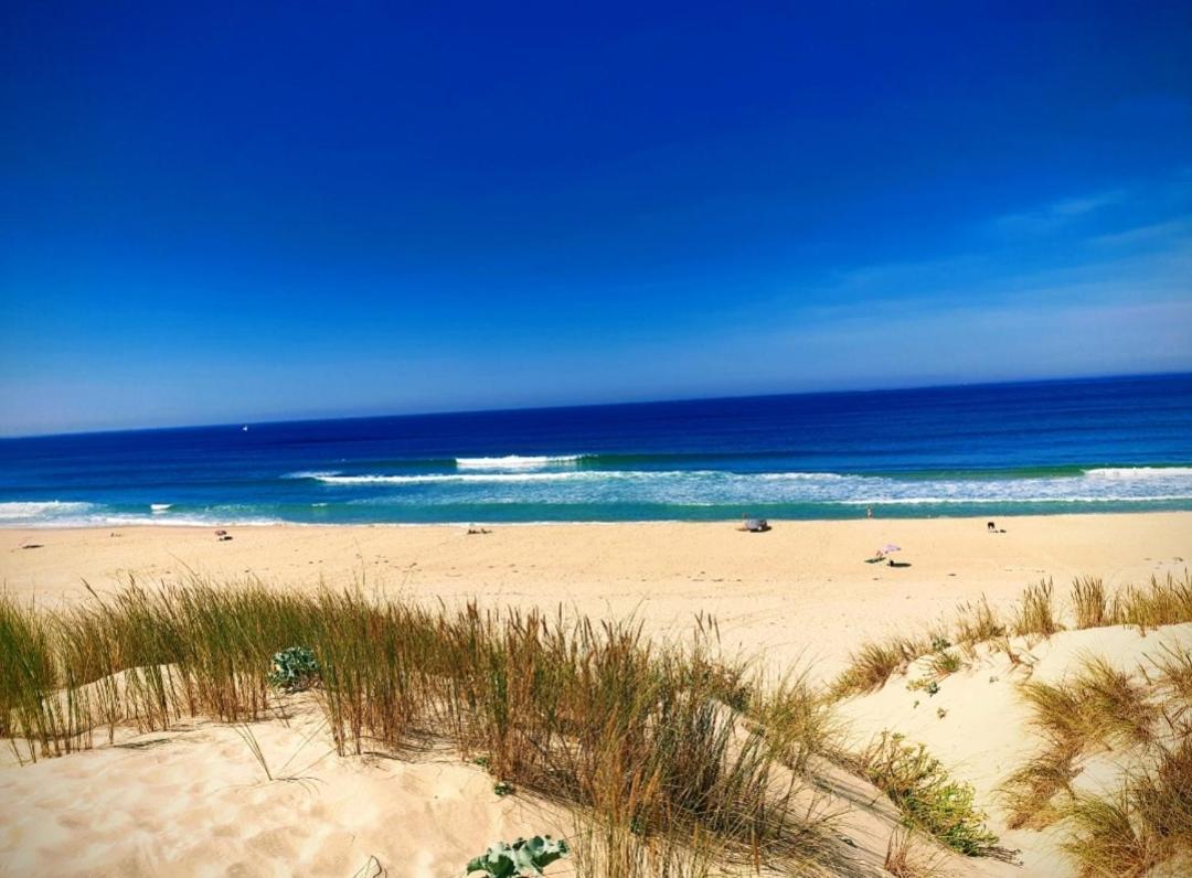 L'Ocean&Dunes Vue A 180° En Bord De Plage Lacanau Exterior foto