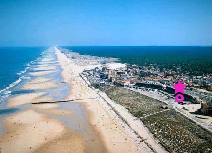 L'Ocean&Dunes Vue A 180° En Bord De Plage Lacanau Exterior foto